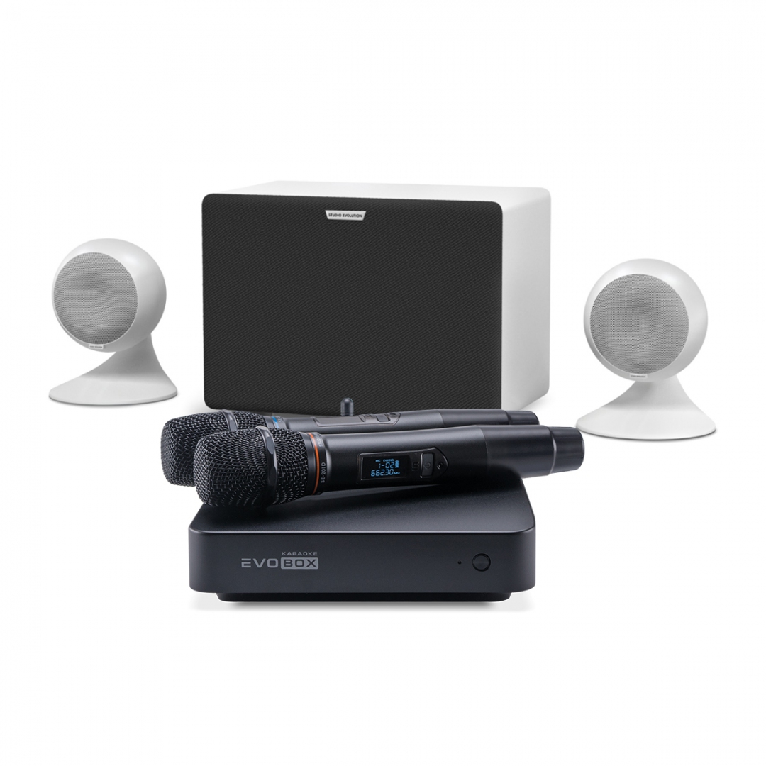 караоке-комплект EVOBOX Classic + EvoSound Sphere 2.1 в Смоленске