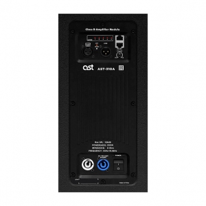 Активная акустическая система AST-310A в Смоленске